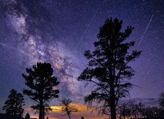 2026 Lyrid Meteor Shower: Peak Viewing Guide for Global Observers 2026 Lyrid Meteor Shower: Peak Viewing Guide for Global Observers