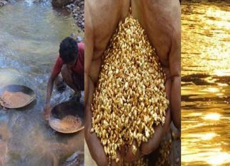 Golden Sands: 3 Indian Rivers Where Traces Of Gold Have Been Found Golden Sands: 3 Indian Rivers Where Traces Of Gold Have Been Found