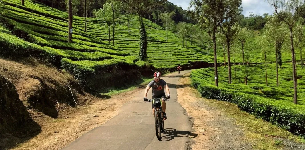 Beyond Itineraries: The Rise of Slow, Meaningful Travel in India