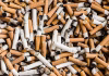 Cigarette Stocks Rally: VST Industries Leads Gains After Explosive Q4 Results Cigarette Stocks Rally: VST Industries Leads Gains After Explosive Q4 Results