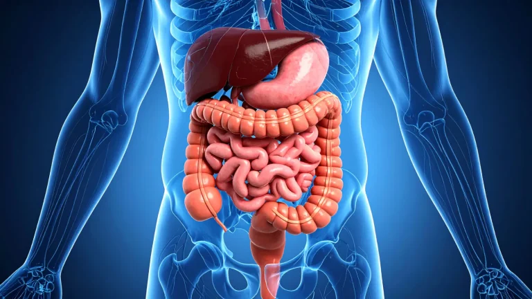 Fatty Liver: Why Children Under 10 Are Now the New High-Risk Group