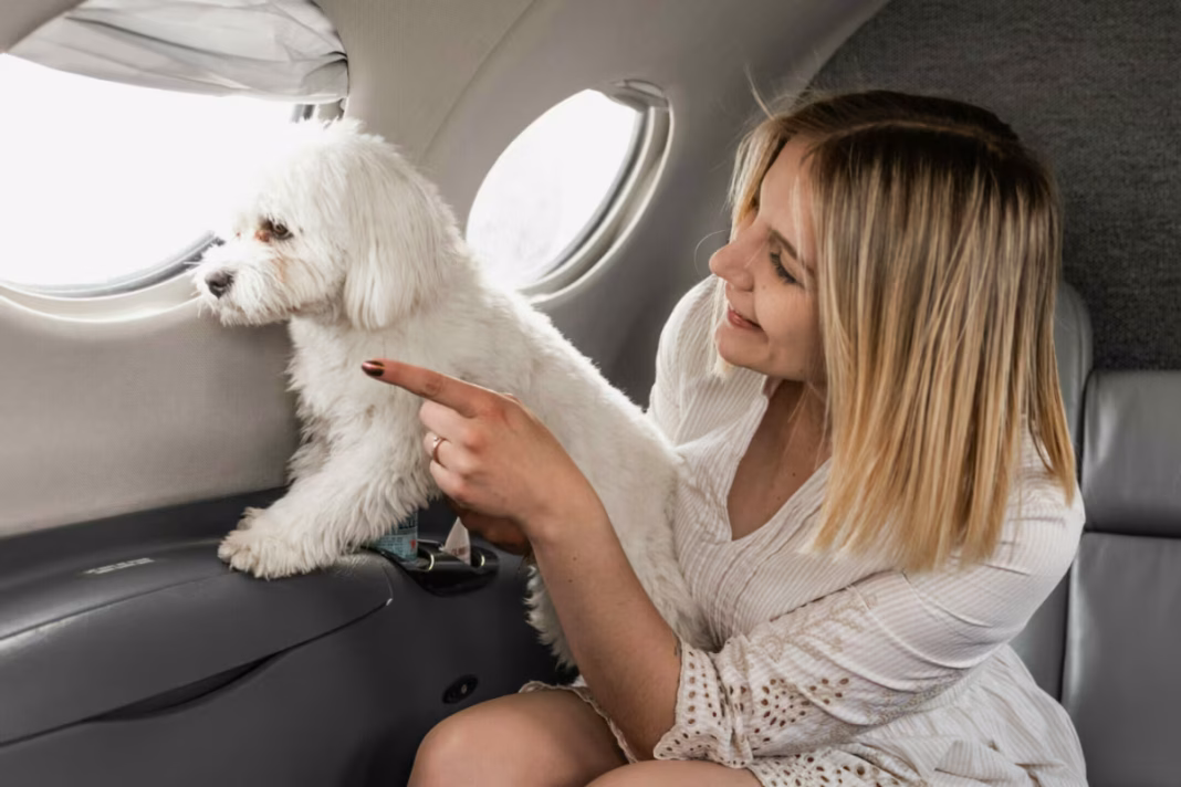 Flying With Pets, Riding With Ease: Pet-First Travel Trend Gains Momentum in India