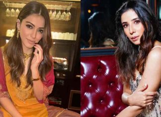 Hansika Motwani’s Ex-Sister-In-Law REACTS To Reports Of ₹2 Crore Defamation Case Hansika Motwani's Ex-Sister-In-Law REACTS To Reports Of ₹2 Crore Defamation Case