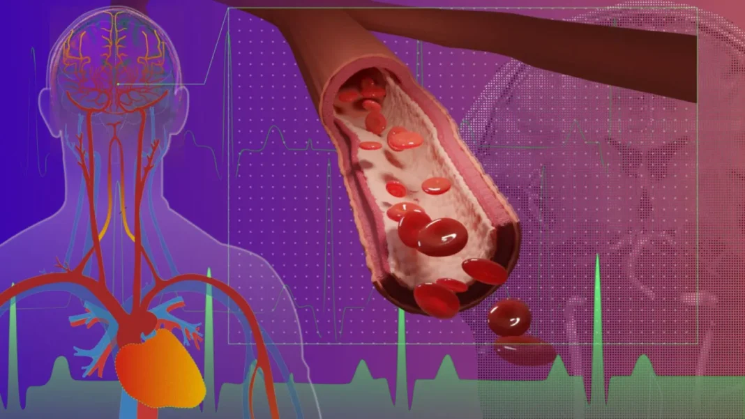 Hidden Brain Trigger Behind High Blood Pressure Discovered; New Treatment Hope Emerges