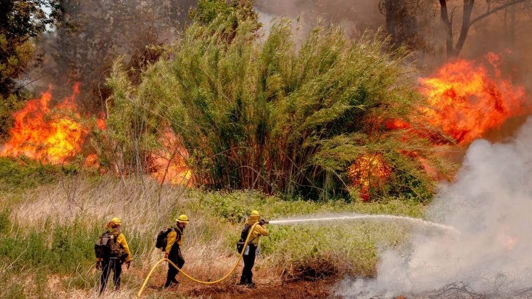 Jurupa Valley Fire: Evacuations Ordered As Wind-Driven Blaze Erupts In Pedley