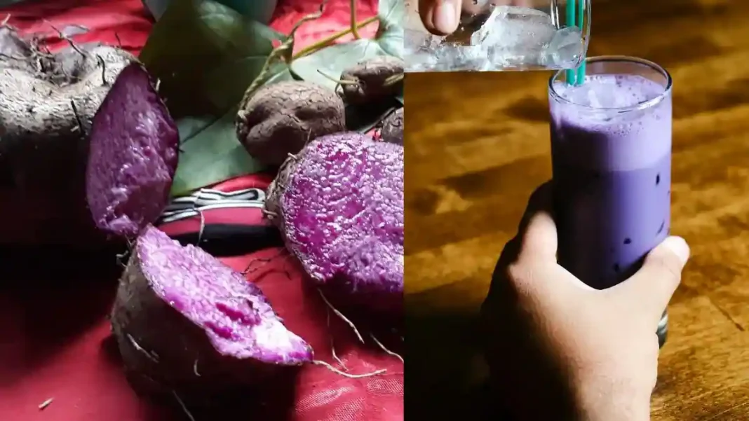 The Purple Takeover: Why Ube is Ousting Matcha as the Internet’s Newest Obsession