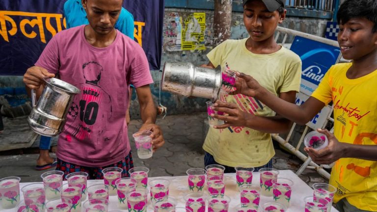 High Temperatures, Higher Stakes in Bengal-TN Voting