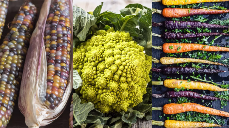 Too Perfect to Eat: 6 Real Foods That Look Like They’re AI-Generated