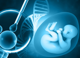 Myths About IVF, Egg Freezing & Fertility Treatments: What Women Should Know Before Planning Pregnancy Myths About IVF, Egg Freezing & Fertility Treatments: What Women Should Know Before Planning Pregnancy