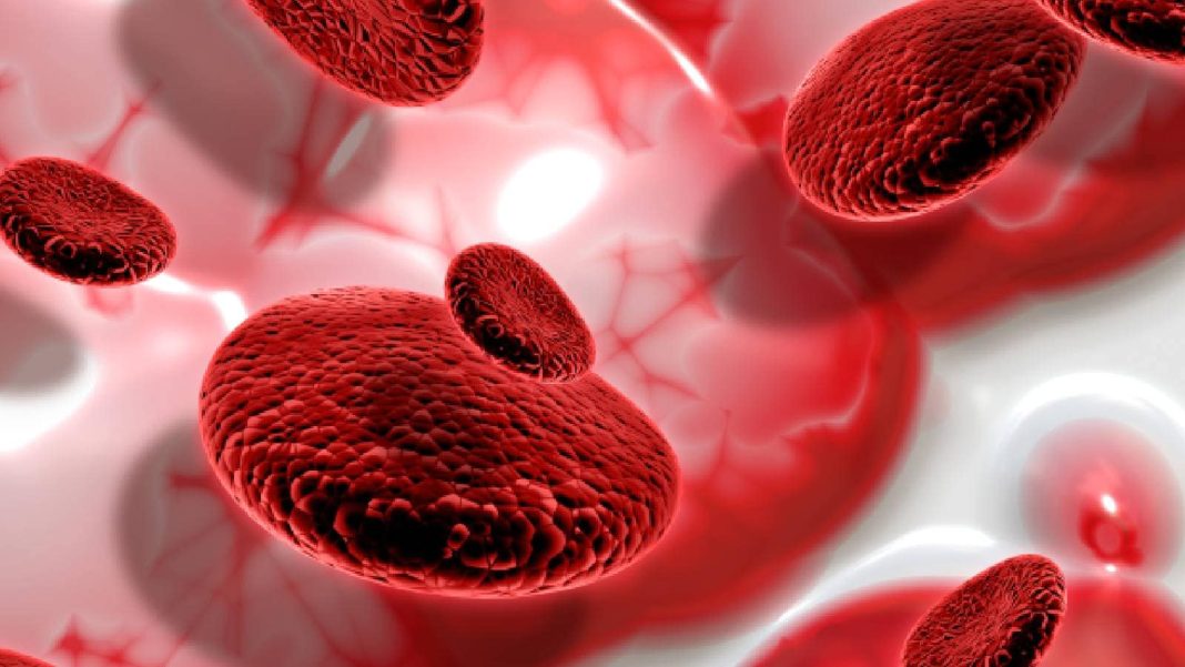 Silent Progression: 5 Reasons Why Blood Cancers Often Go Unnoticed
