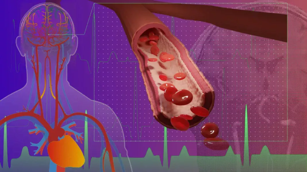 Hidden Brain Trigger Behind High Blood Pressure Discovered; New Treatment Hope Emerges