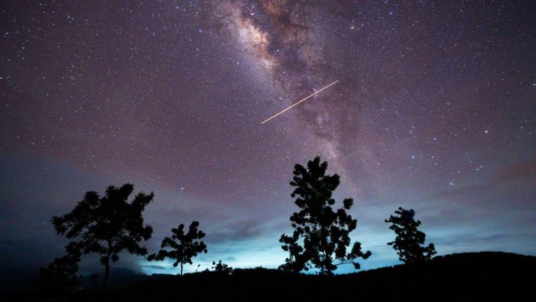 What Is Lyrid Meteor Shower 2026: When, Where And How  To Look In The Night Sky