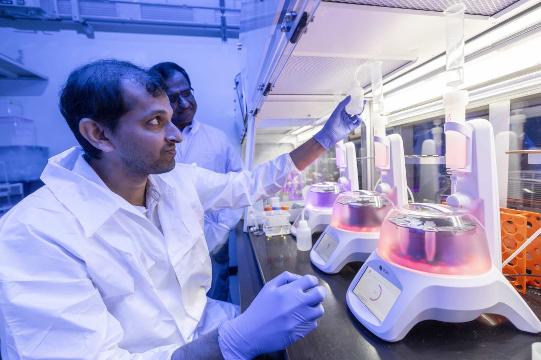 Scientists Develop Nasal Spray That May Reverse Brain Ageing, Offer Hope For Dementia Treatment