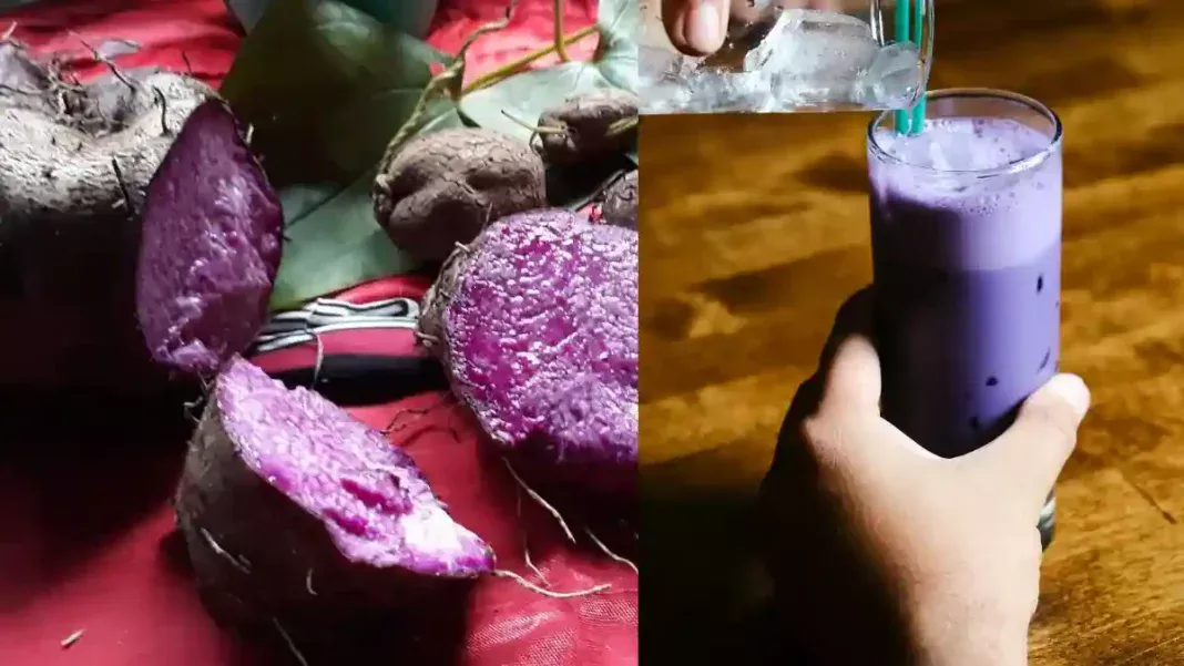 The Purple Takeover: Why Ube is Ousting Matcha as the Internet’s Newest Obsession