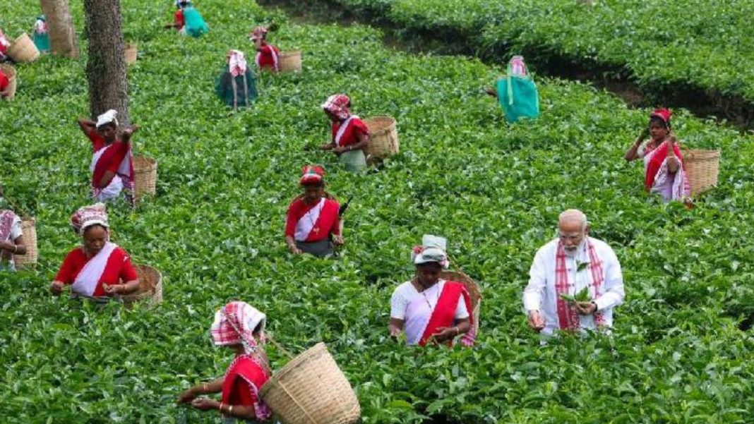 PM Modi in Assam: Tea Garden Visit Ahead of Big Poll Push