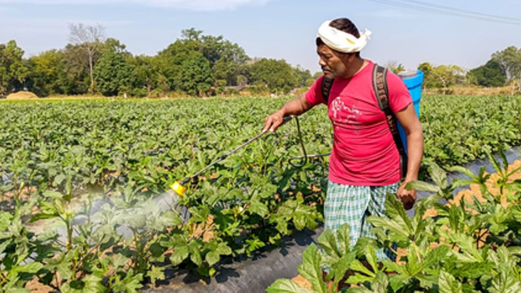 Hormuz Disruption Sparks Fertiliser Alarm