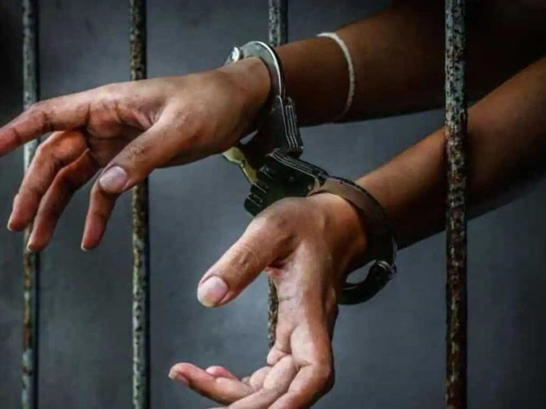 Police Pose As Omelette Vendors For 15 Days In Surat, Arrest Interstate Theft Gang Members