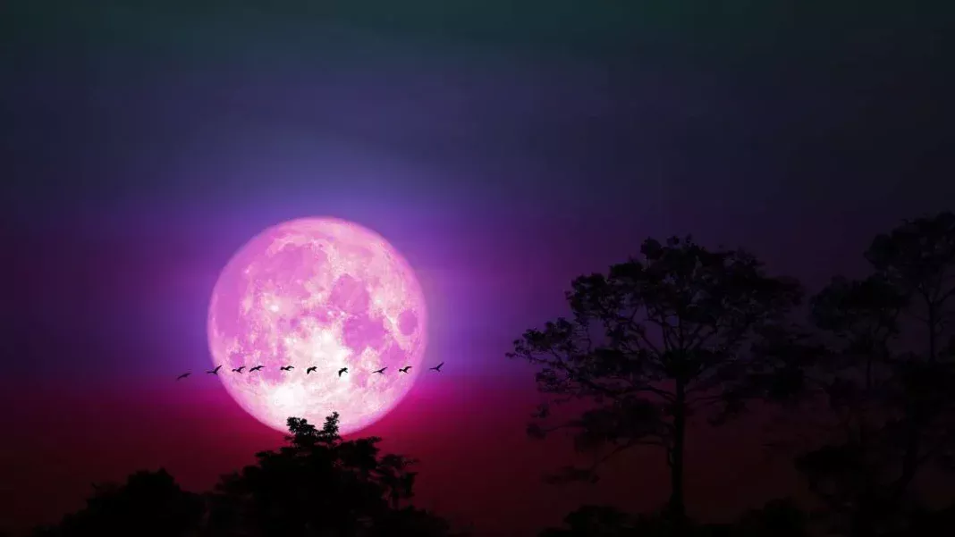 Pink Moon 2026: Date, Timings, Meaning And Why April’s Full Moon Won’t Actually Look Pink