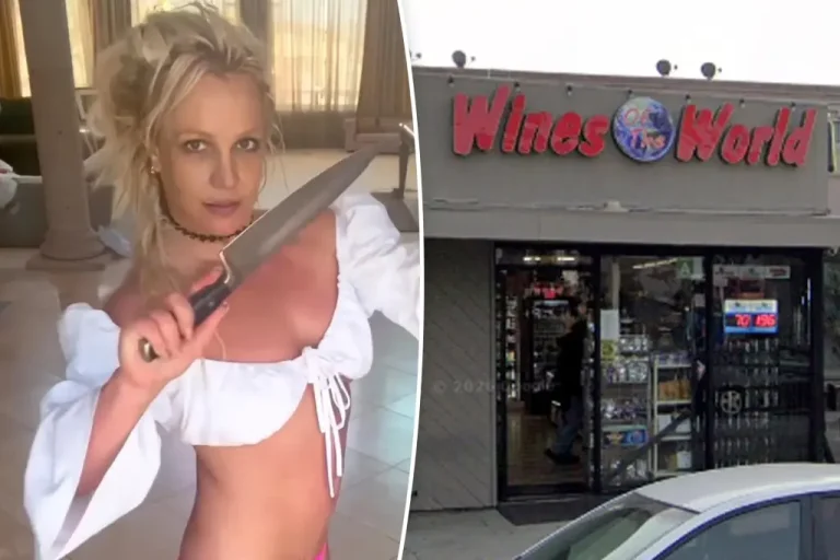 Britney Spears' Team Reacts After Singer Allegedly 'Barks, Screams & Walks With A Knife' Inside Restaurant