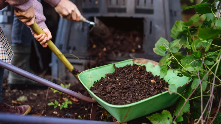 Easy Composting Guide For Apartment Gardeners: Turn Kitchen Waste Into Natural Fertiliser