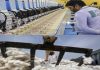 Government Removes Cotton Import Duty for Five Months to Support Textile Industry Government Removes Cotton Import Duty for Five Months to Support Textile Industry