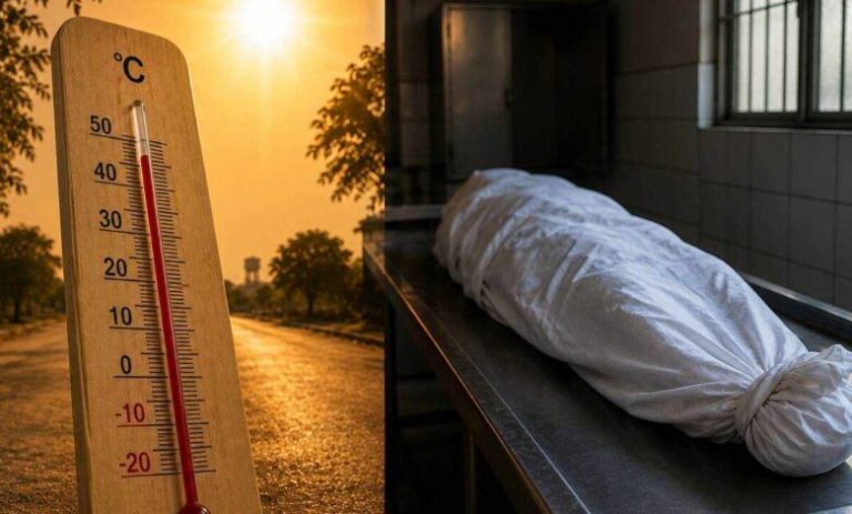 Heatwave Deaths In Telangana: What Causes Heatstroke And How To Stay Safe During Extreme Heat