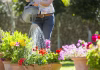 Most People Make This Plant-Watering Mistake During Heatwaves: Here’s How To Protect Your Garden Most People Make This Plant-Watering Mistake During Heatwaves: Here’s How To Protect Your Garden