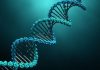 India’s Genetic Makeup Unique, Western Medicines May Affect Indians Differently: Study
