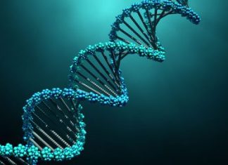 India’s Genetic Makeup Unique, Western Medicines May Affect Indians Differently: Study
