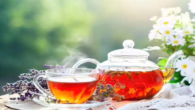 International Tea Day Special: Best Tea Plantation Stays Across India for a Fresh Cup of ‘Chai’