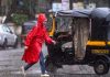 Karnataka Rain Update: IMD Issues Orange Alert, Thunderstorms And Gusty Winds Likely Karnataka Rain Update: IMD Issues Orange Alert, Thunderstorms And Gusty Winds Likely