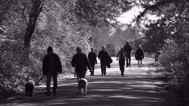 The Way You Walk Matters: 5 Everyday Habits That Could Harm Your Health Over Time