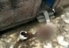 Boy Shot Dead in Kasganj Over Refusal to Fetch Water Boy Shot Dead in Kasganj Over Refusal to Fetch Water
