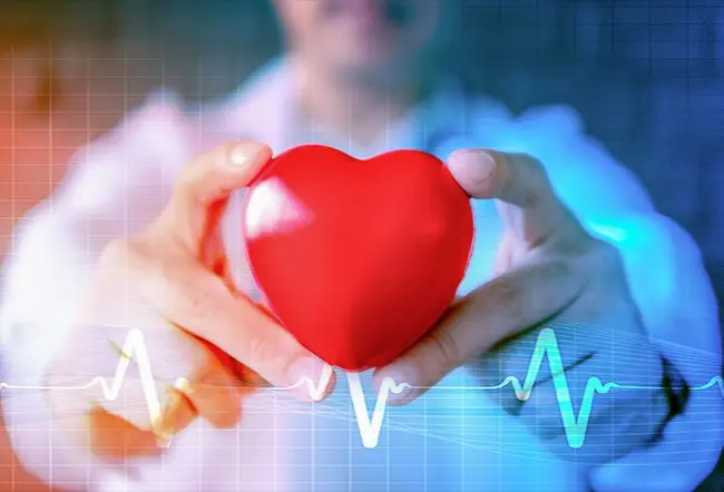 Bradycardia: When a Slow Heart Rate is a Sign of Fitness vs. a Health Risk