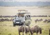 Why Kenya Is Emerging As The New Luxury Safari Destination For Indian Travellers Why Kenya Is Emerging As The New Luxury Safari Destination For Indian Travellers