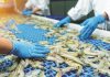 Andhra Govt Stops Shrimp Feed Price Hike Andhra Govt Stops Shrimp Feed Price Hike