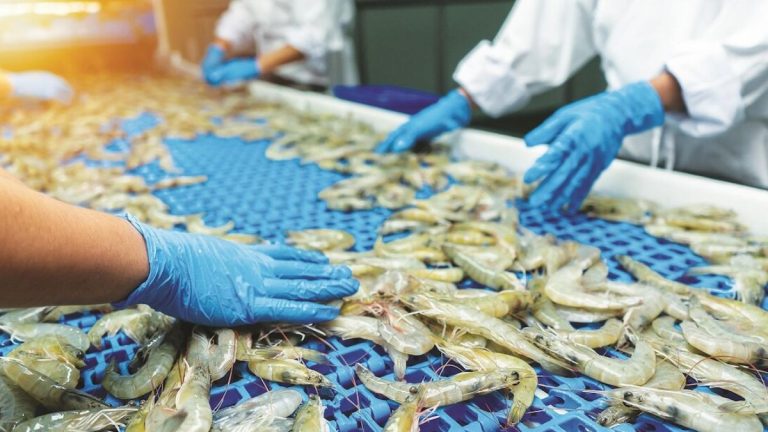 Andhra Govt Stops Shrimp Feed Price Hike