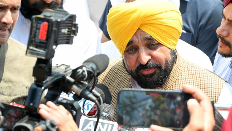 ‘Can’t Do as They Please’: Bhagwant Mann Slams Chadha