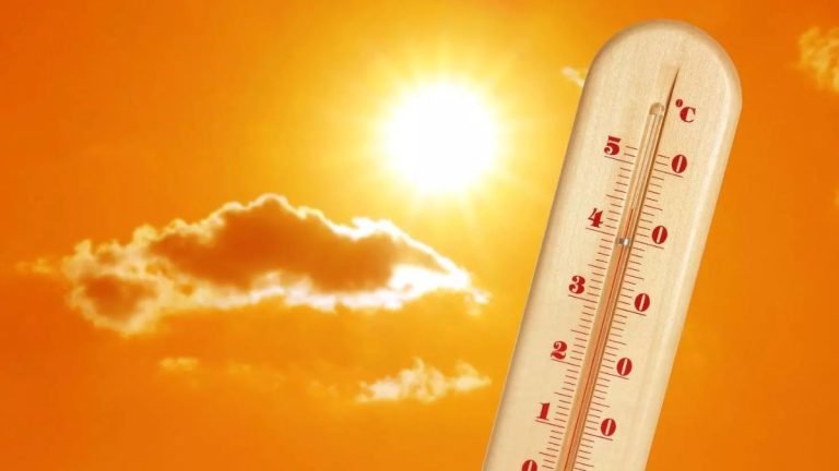 Delhi Heatwave: Second Heat Stroke Case Reported At RML Hospital