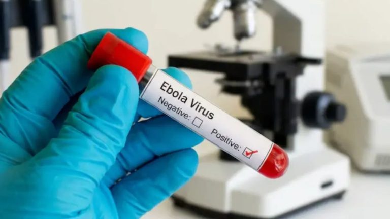 Karnataka Rules Out Ebola Case In Bengaluru