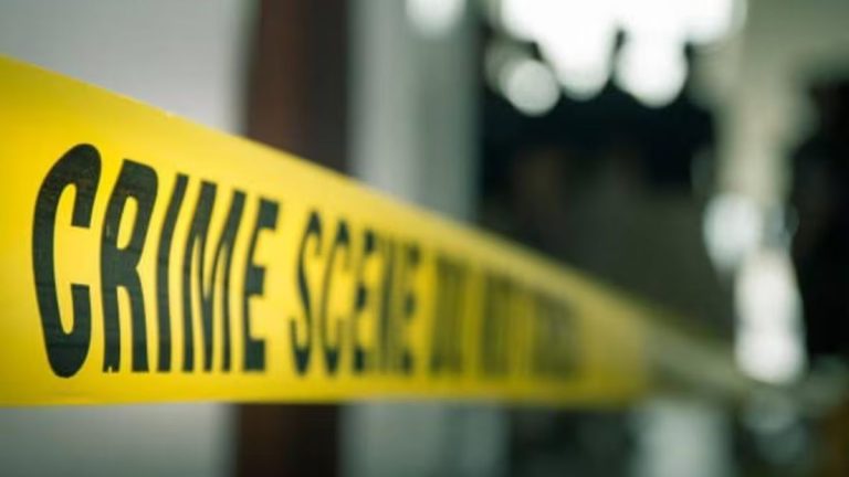 Grenade Hurled At Air India Cargo Manager’s House In Manipur: Police