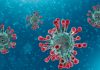 World Less Prepared For Next Pandemic Than Ever Before: Report World Less Prepared For Next Pandemic Than Ever Before: Report