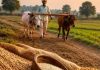 Will SARTHAK-PDS Replace India’s Current Ration System? Centre Issues Clarification Will SARTHAK-PDS Replace India’s Current Ration System? Centre Issues Clarification