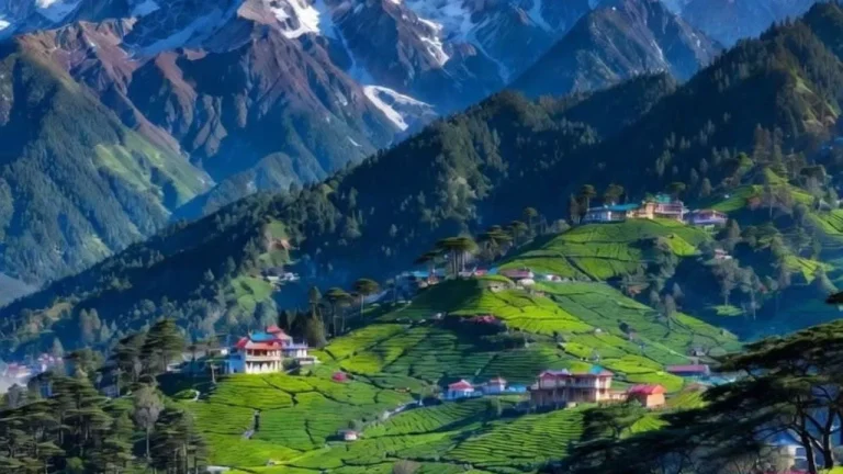 Why Johar Valley Is Uttarakhand’s Most Stunning Hidden Summer Escape Away From Crowded Hill Stations