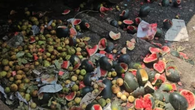 Did Contaminated Watermelon Kill Teen In Chhattisgarh?