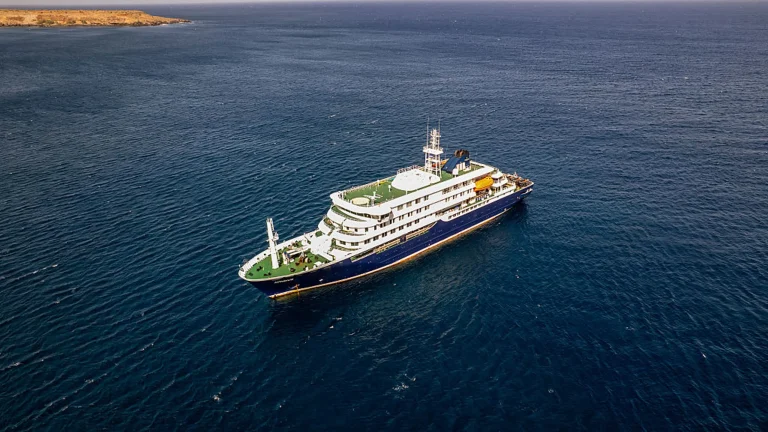First Hantavirus Case Has Could Not Have Been During Cruise; This Is The Place Where All Started