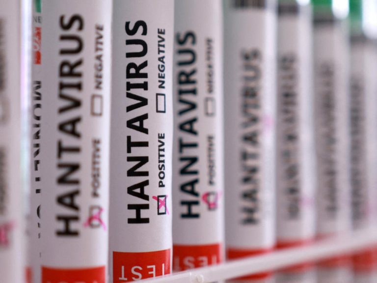 Hantavirus Outbreak: WHO Confirms Three Deaths, Says ‘Public Health Risk Is Low’