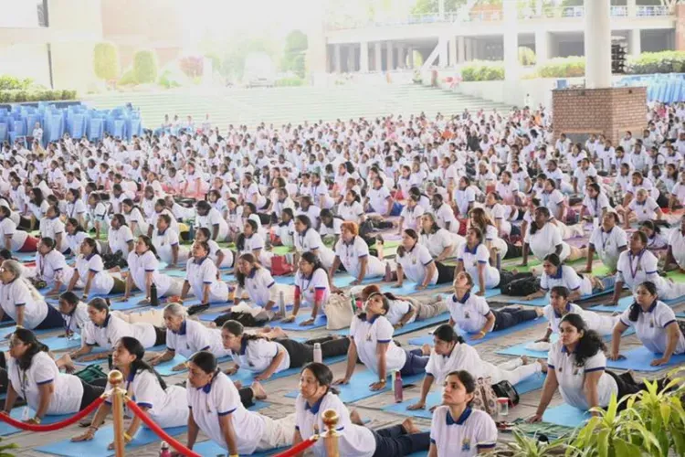 International Yoga Day 2026: 6,000 Perform Bhujangasana In Hyderabad, Set Asian Record