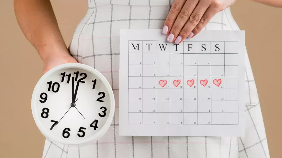 Ovulation And Fertile Window Explained: What Women Trying To Conceive Should Know