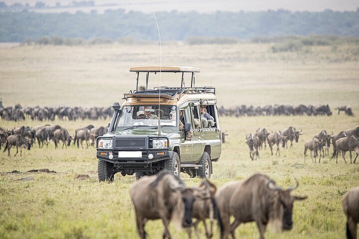 Why Kenya Is Emerging As The New Luxury Safari Destination For Indian Travellers
